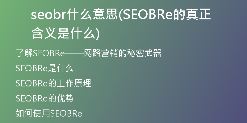 seobr什么意思(SEOBRe的真正含义是什么)