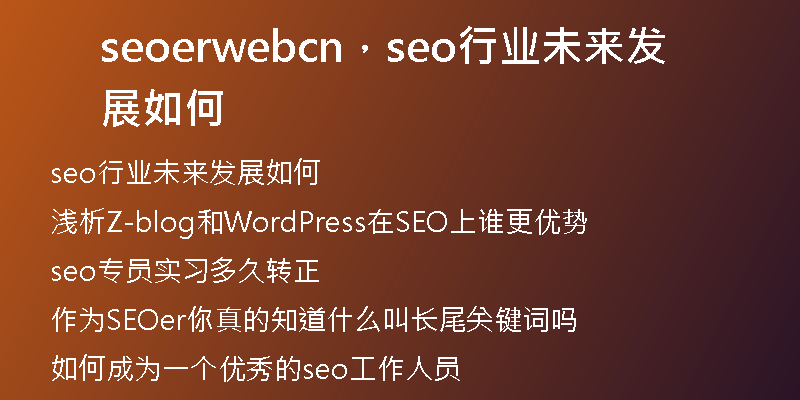 seoerwebcn，seo行业未来发展如何
