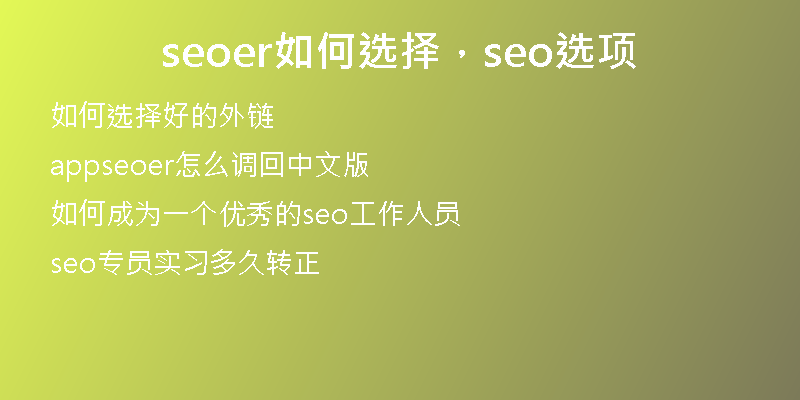 seoer如何选择，seo选项