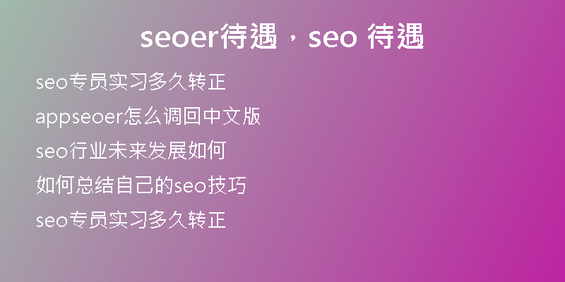 seoer待遇，seo 待遇