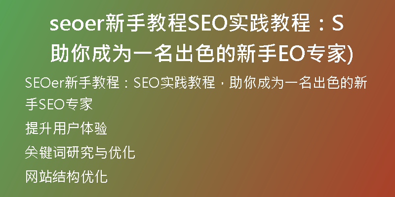 seoer新手教程SEO实践教程：助你成为一名出色的新手SEO专家)