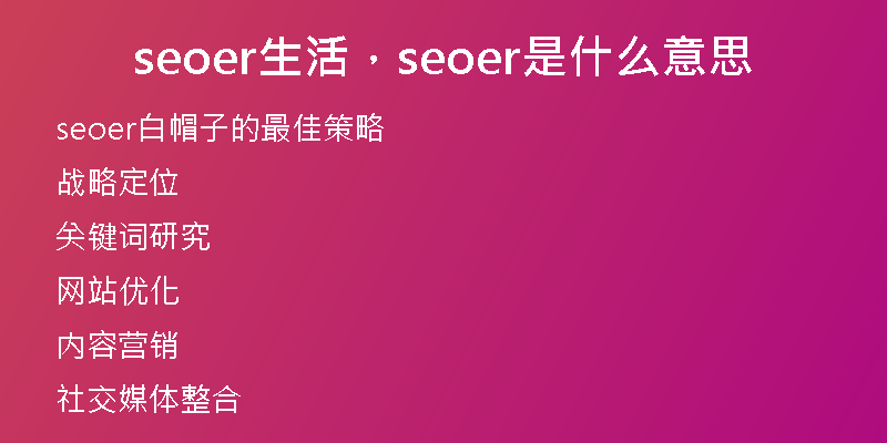 seoer生活，seoer是什么意思
