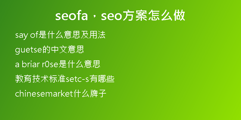 seofa，seo方案怎么做