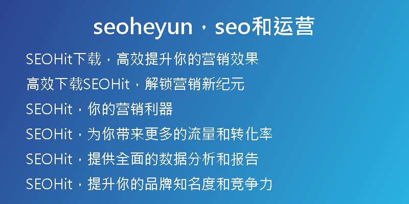 seoheyun，seo和运营