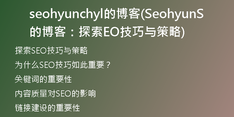 seohyunchyl的博客(Seohyun的博客：探索SEO技巧与策略)