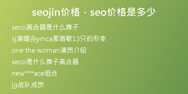 seojin价格，seo价格是多少