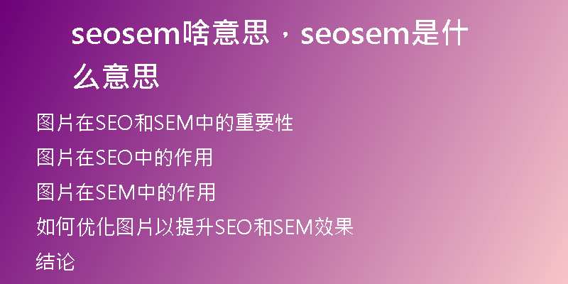 seosem啥意思，seosem是什么意思