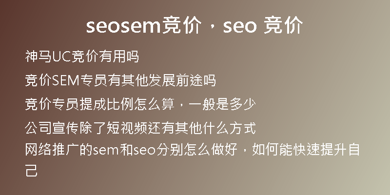 seosem竞价,seo 竞价