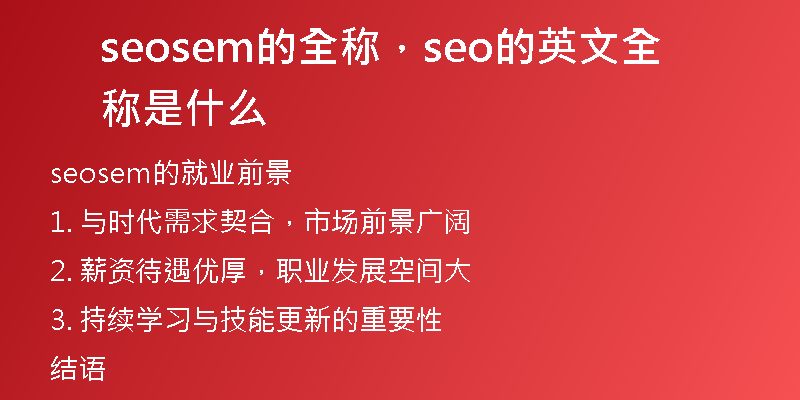 seosem的全称，seo的英文全称是什么