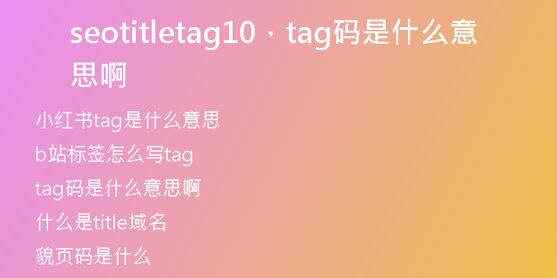 seotitletag10，tag码是什么意思啊