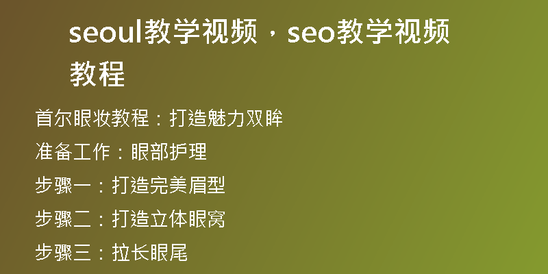 seoul教学视频,seo教学视频教程