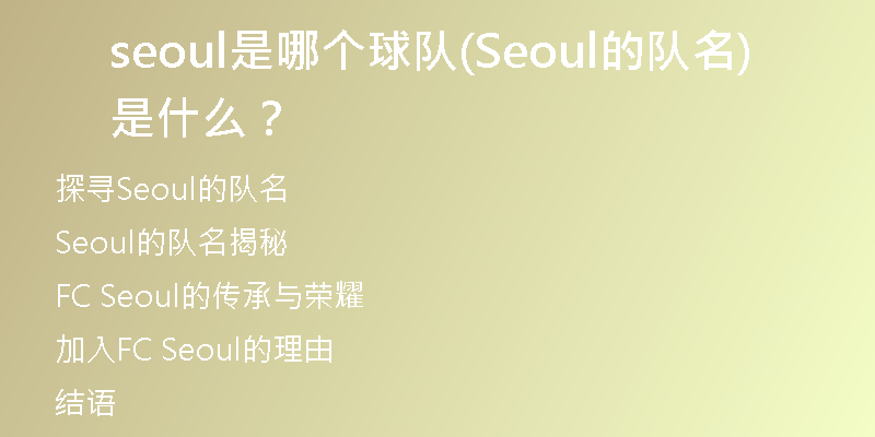 seoul是哪个球队(Seoul的队名是什么？)