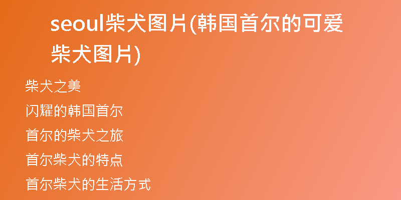 seoul柴犬图片(韩国首尔的可爱柴犬图片)