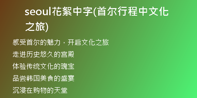 seoul花絮中字(首尔行程中文化之旅)