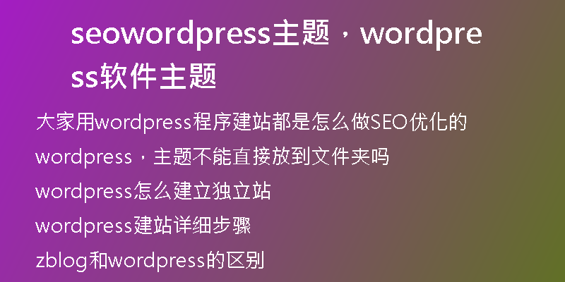 seowordpress主题，wordpress软件主题