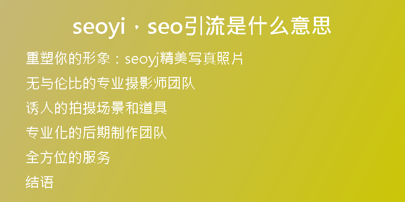 seoyi，seo引流是什么意思
