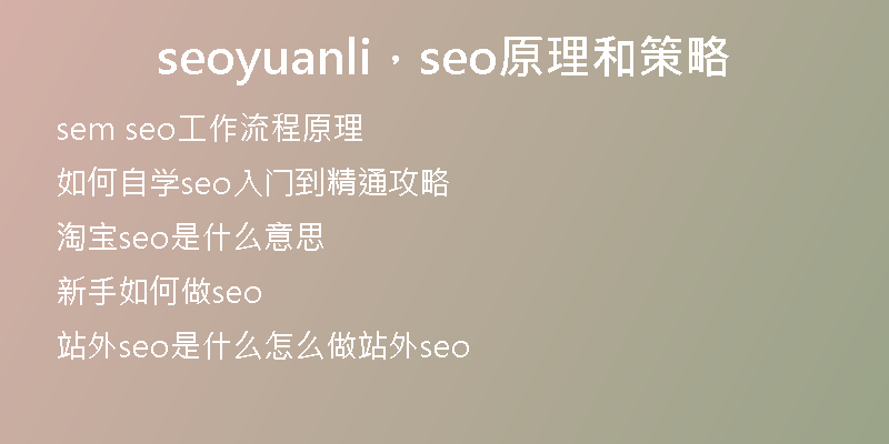 seoyuanli，seo原理和策略