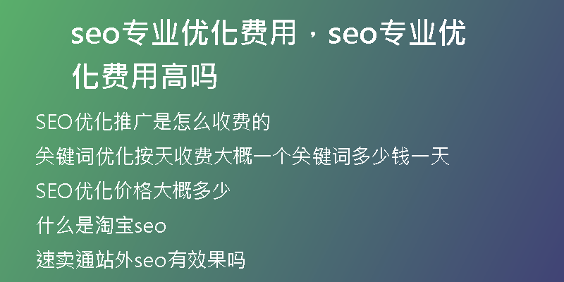 seo专业优化费用，seo专业优化费用高吗