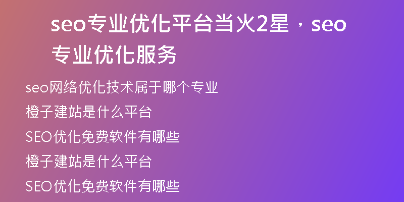 seo专业优化平台当火2星，seo专业优化服务