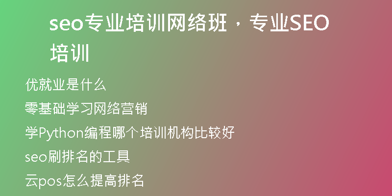 seo专业培训网络班，专业SEO培训