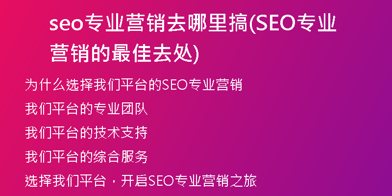 seo专业营销去哪里搞(SEO专业营销的最佳去处)