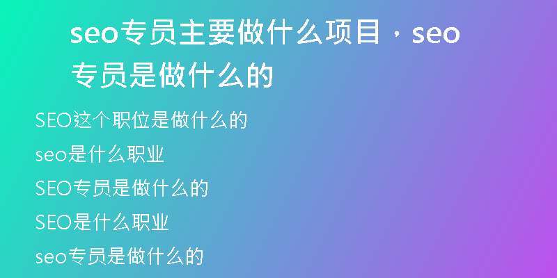 seo专员主要做什么项目，seo专员是做什么的