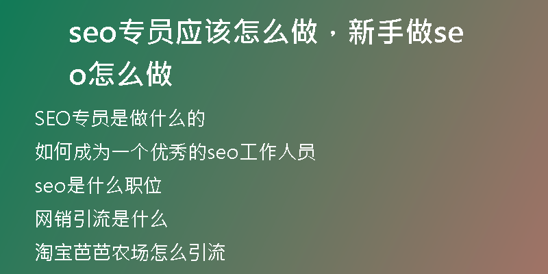 seo专员应该怎么做，新手做seo怎么做