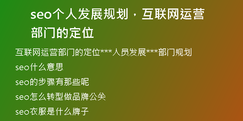 seo个人发展规划，互联网运营部门的定位