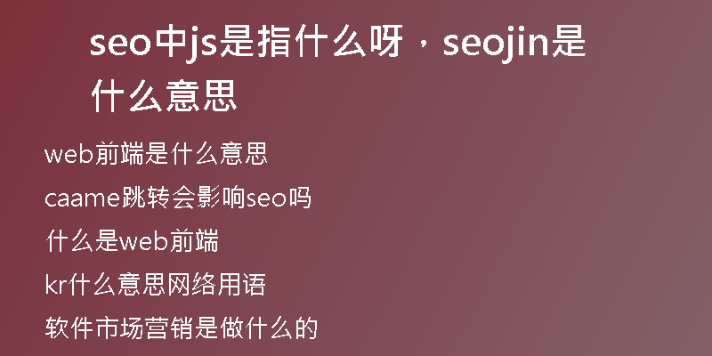 seo中js是指什么呀，seojin是什么意思