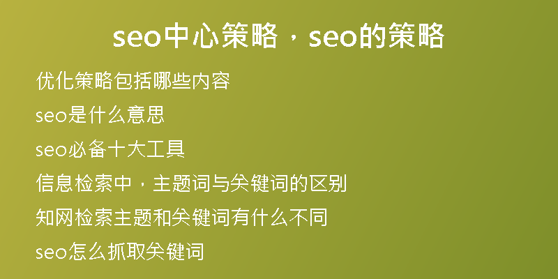 seo中心策略，seo的策略