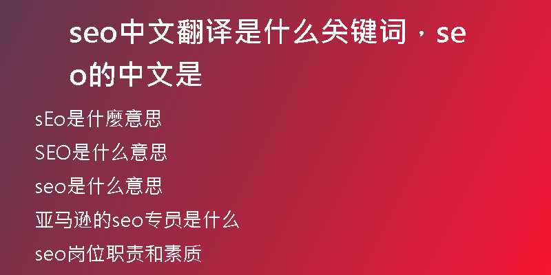 seo中文翻译是什么关键词，seo的中文是