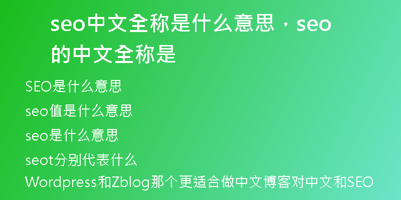 seo中文全称是什么意思，seo的中文全称是