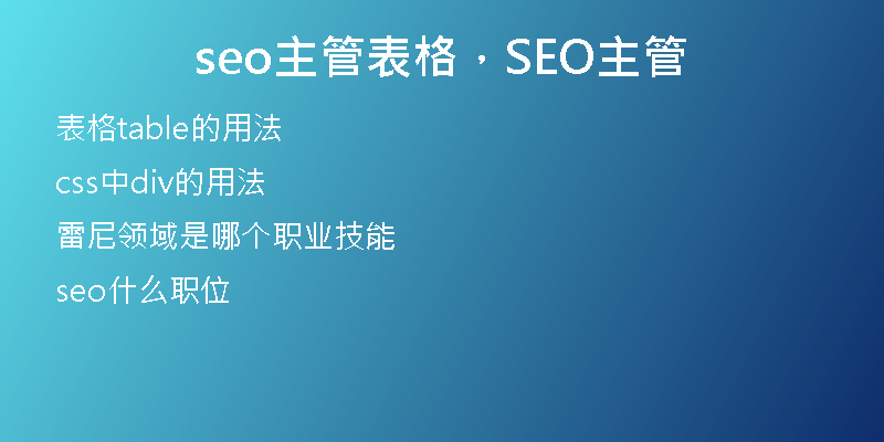 seo主管表格，SEO主管