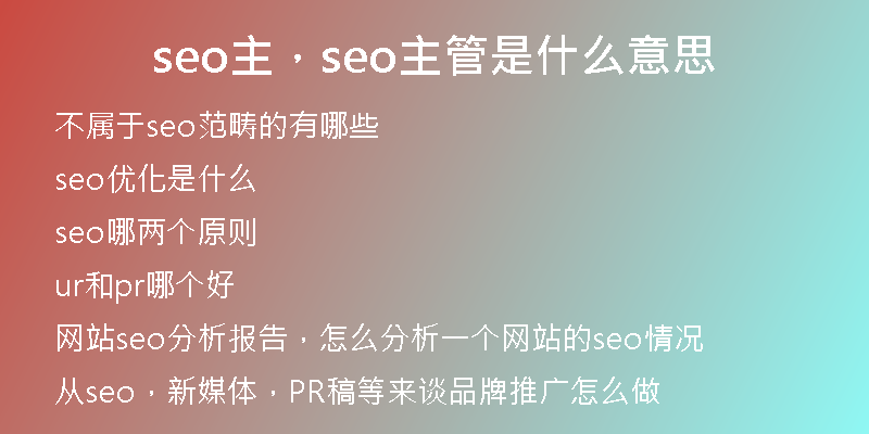 seo主,seo主管是什么意思