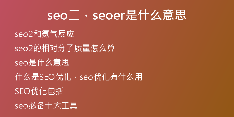 seo二，seoer是什么意思