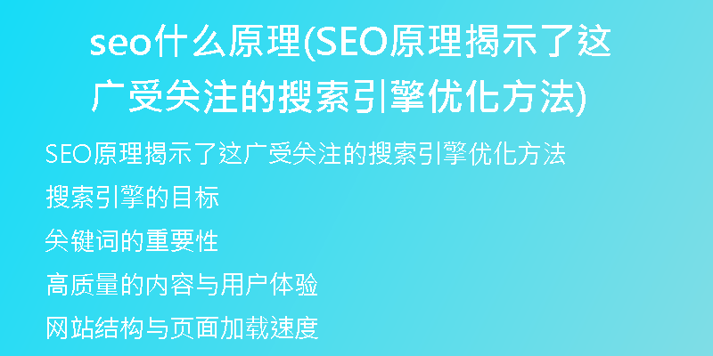 seo什么原理(SEO原理揭示了这广受关注的搜索引擎优化方法)