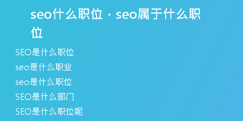 seo什么职位，seo属于什么职位