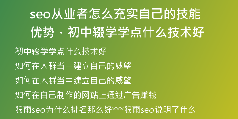 seo从业者怎么充实自己的技能优势，初中辍学学点什么技术好