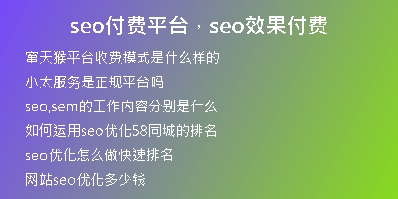 seo付费平台，seo效果付费
