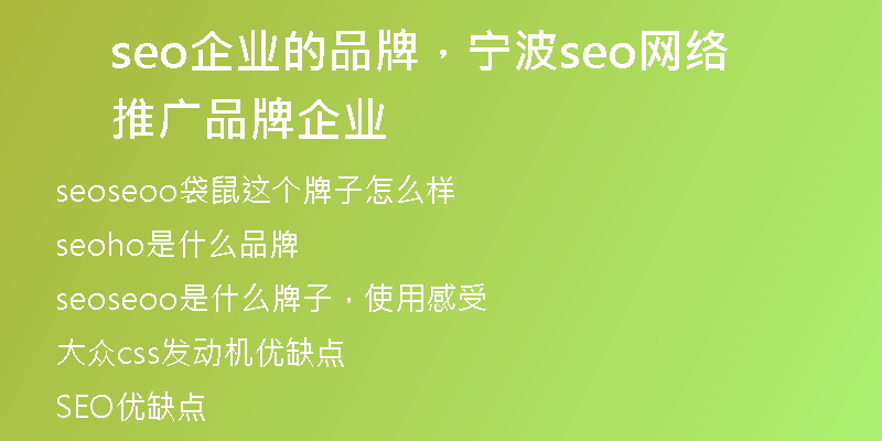 seo企业的品牌，宁波seo网络推广品牌企业