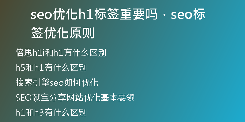 seo优化h1标签重要吗，seo标签优化原则