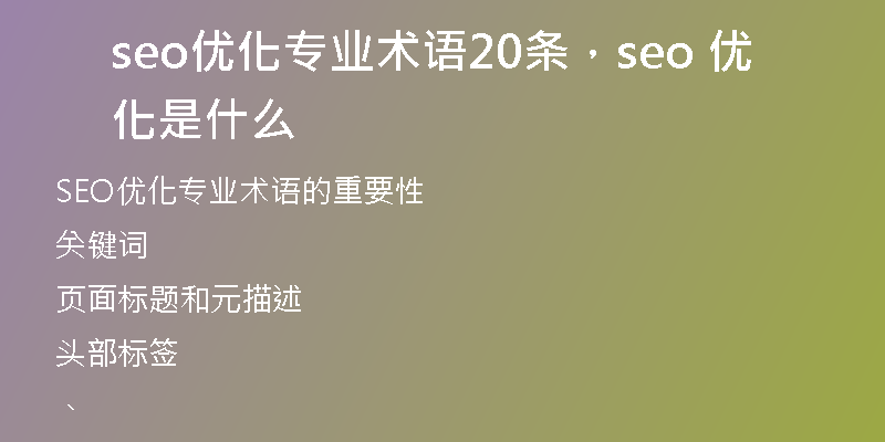 seo优化专业术语20条，seo 优化是什么