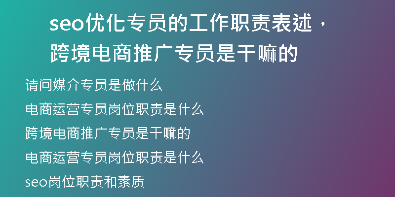 seo优化专员的工作职责表述，跨境电商推广专员是干嘛的