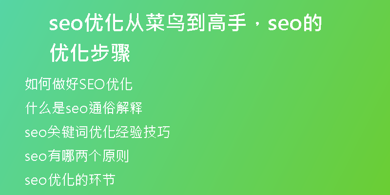 seo优化从菜鸟到高手，seo的优化步骤