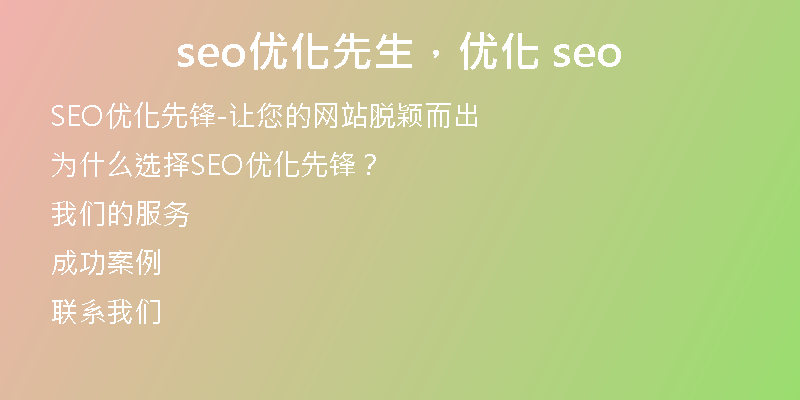 seo优化先生，优化 seo