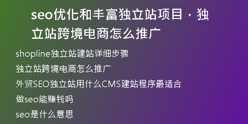 seo优化和丰富独立站项目，独立站跨境电商怎么推广