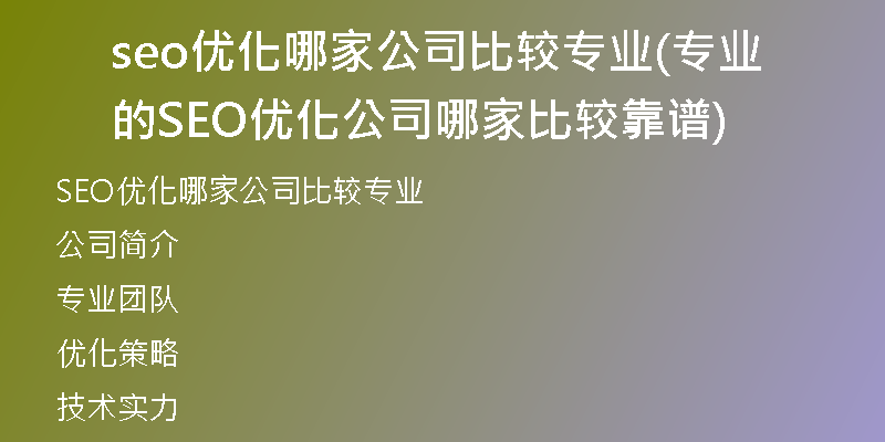 seo优化哪家公司比较专业(专业的SEO优化公司哪家比较靠谱)