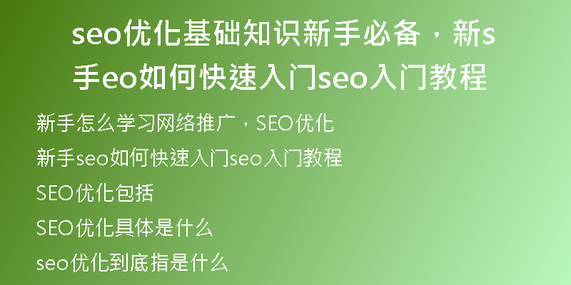 seo优化基础知识新手必备，新手seo如何快速入门seo入门教程