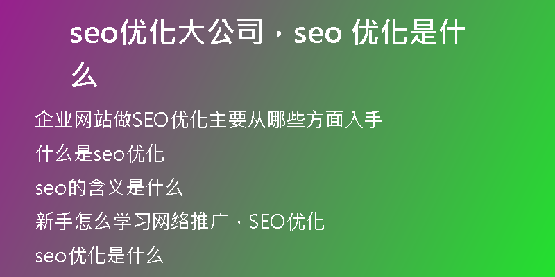 seo优化大公司，seo 优化是什么