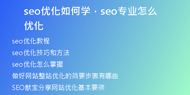 seo优化如何学,seo专业怎么优化
